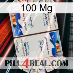 100Mg kamagra1